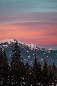 green leaf pine trees with mountain range view during golden time thumbnail