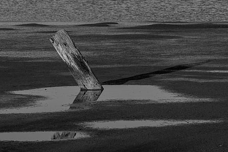 grey scale photo of wooden plank thumbnail