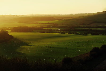 green field near mountain at golden hour thumbnail