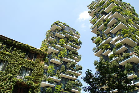 white-and-gray concrete hotels with plants on wall thumbnail