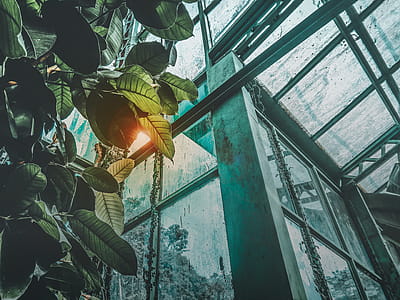 Low Angle Photography of Greenhouse thumbnail
