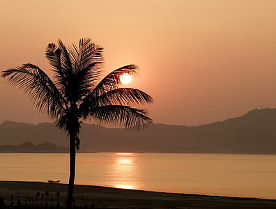 silhouette photo of coconut tree near the lake thumbnail