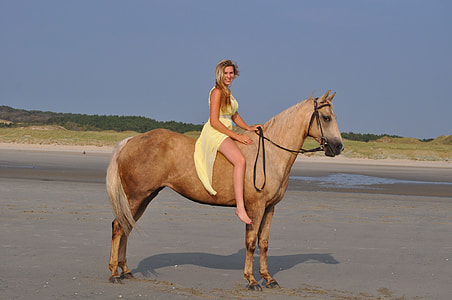 woman riding on horse during daytime thumbnail