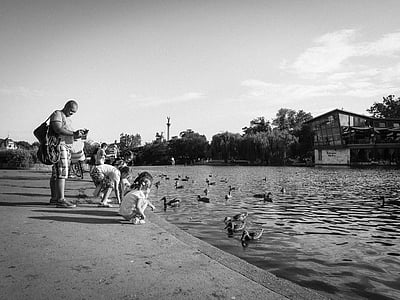 group of people sitting beside body of water thumbnail