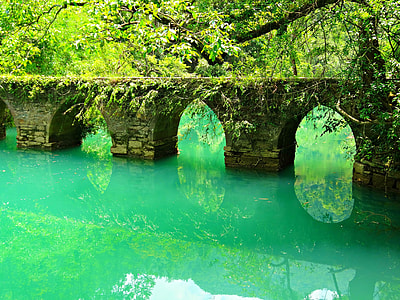 stone footbridge o on a river forest during daytime thumbnail