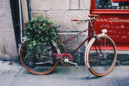 Red Mountain Bicycle in Front of Gray Wall thumbnail