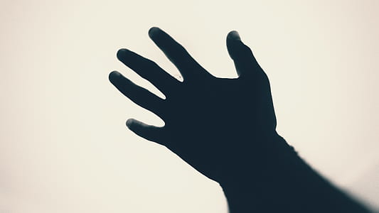 silhouette photography of person's right hand thumbnail