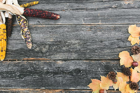 Autumn Wood Texture Photo thumbnail