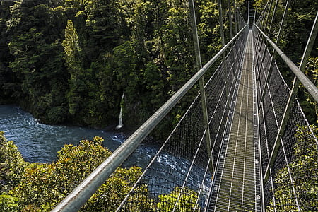 gray cable bridge beside trees thumbnail
