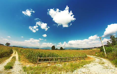 panorama photography of green grass field under white clouds and blue sky at daytime thumbnail