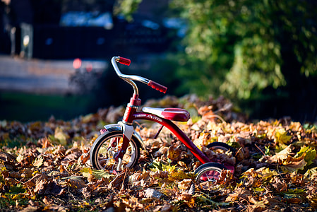 Red Retro Tricycle Child Radio Flyer thumbnail