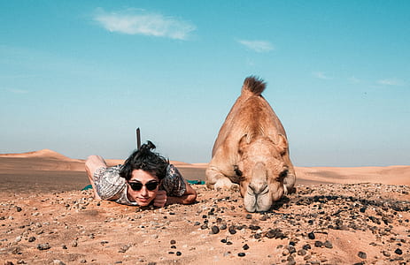 close-up photography of man planking together with brown animal on brown sand at daytime thumbnail