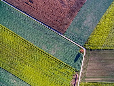 field, from above, crops, aerial view thumbnail