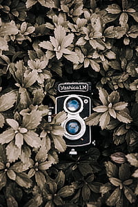 Yashica LM photo thumbnail