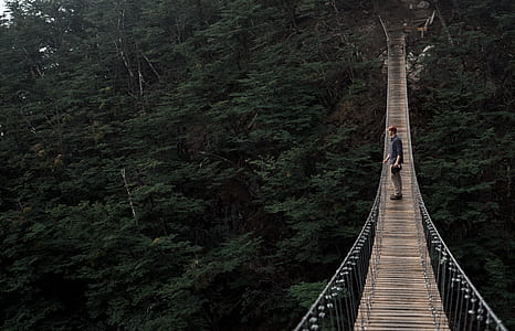 man in black shirt standing on hanging bridge surrounded by trees during daytime thumbnail