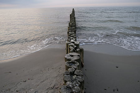 brown wood slabs aligned on shore thumbnail