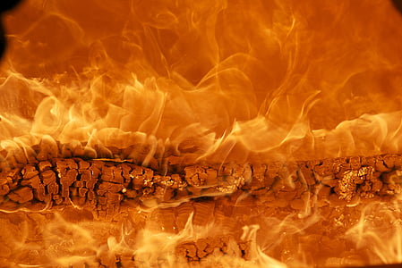 orange and yellow digital wallpaper thumbnail