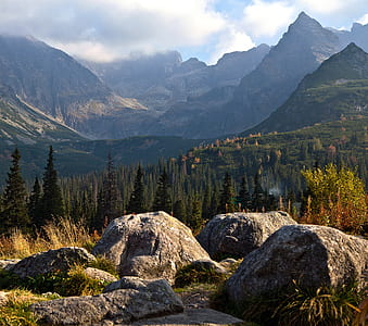 mountain surrounded by green leafed trees thumbnail