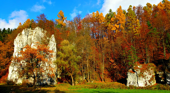 Paternity National Park, Poland thumbnail