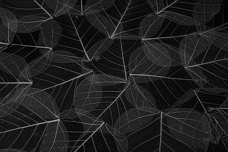 black and white floral textile thumbnail