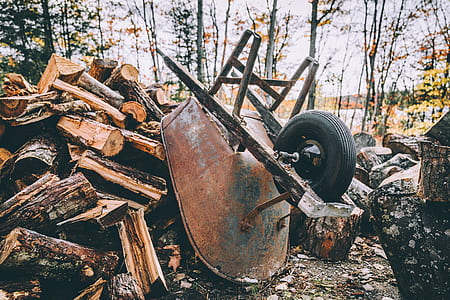 brown wheelbarrow on pile of log thumbnail