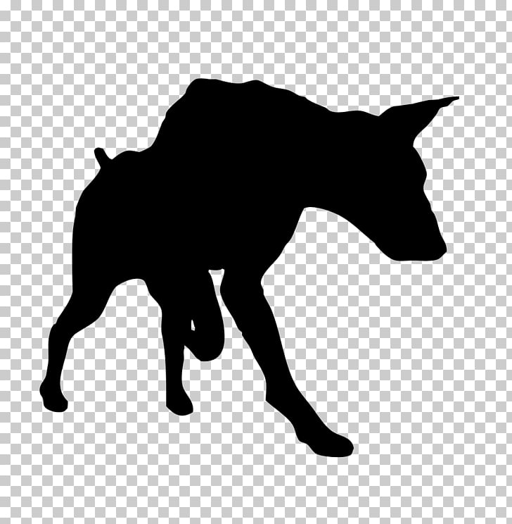 raw foodism german shepherd dobermann pit bull miniature pinscher
