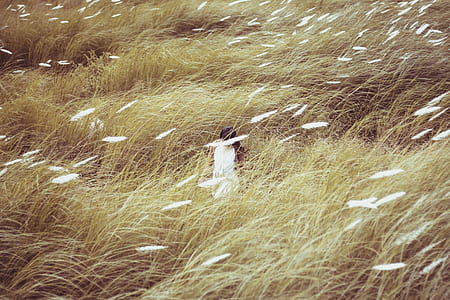 woman in white dress standing on grass field thumbnail