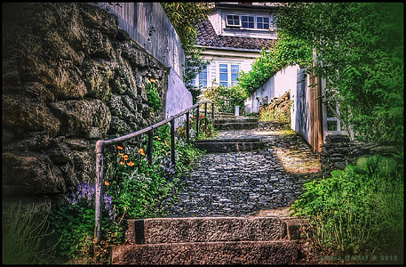 concrete stairs between green leafed plants thumbnail