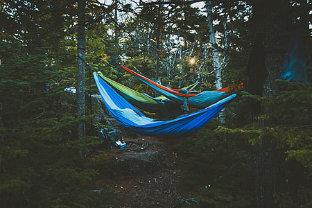 blue hammock tied on two trees during daytime thumbnail