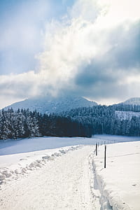 snow covered field during daytime thumbnail