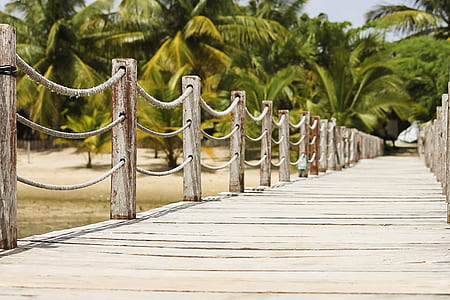 bridge during daytime thumbnail