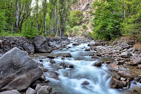 raging river surrounded by trees thumbnail