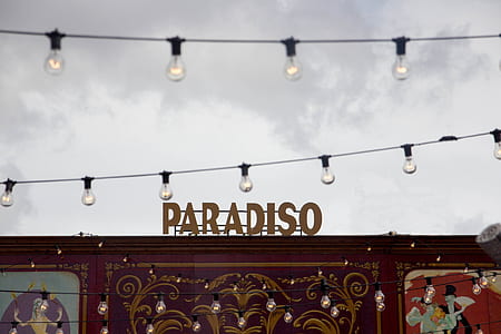 Paradiso LED signage thumbnail