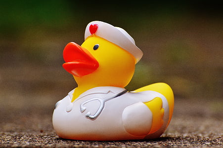 white and yellow duckling toy thumbnail
