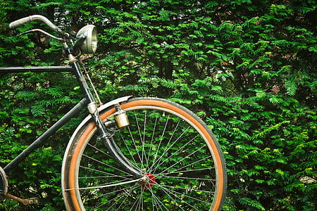 black cruiser bicycle thumbnail