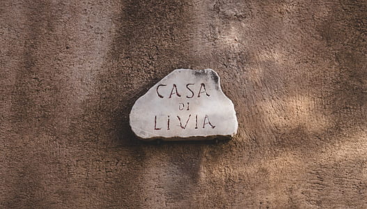gray casa do livia-printed stone fragment thumbnail