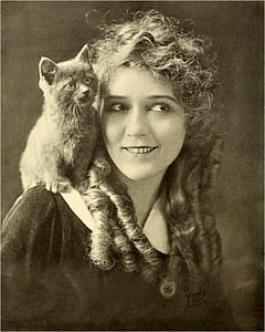 grayscale photography of cat on woman shoulder illustration thumbnail