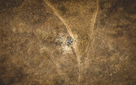 africa, desert, drone view, dry land thumbnail