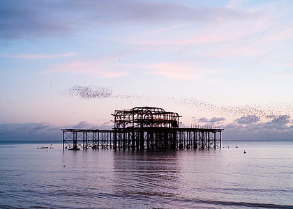 wooden structure on water during daytime thumbnail
