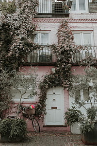 white and brown bicycle parking near pink and white house thumbnail