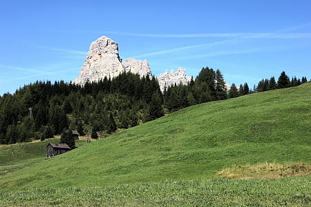 green pine tree near mountain at daytime thumbnail