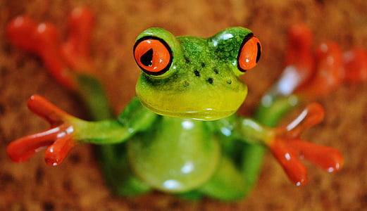 tree frog in macro shot thumbnail