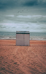 Gray Storage Shed on Brown Sand thumbnail