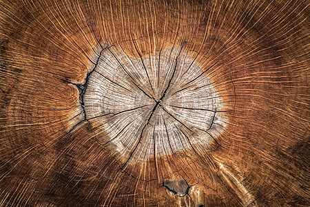 brown wood slab thumbnail