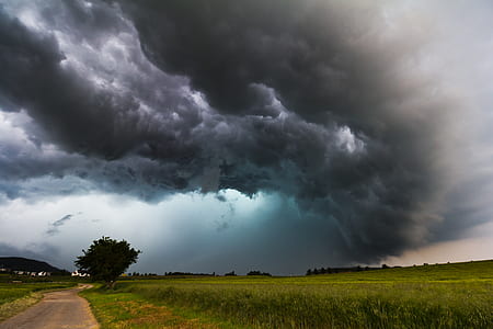 green field under gray cloudy sky thumbnail