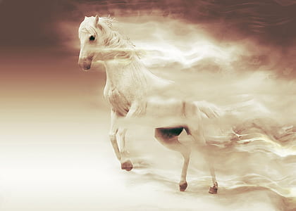 illustration of white horse thumbnail