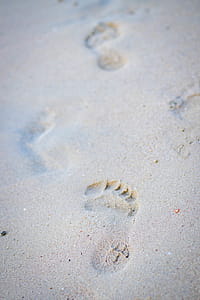 Photo of Foot Print on the Seashore thumbnail