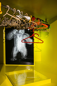 Various art installations at an exposition thumbnail