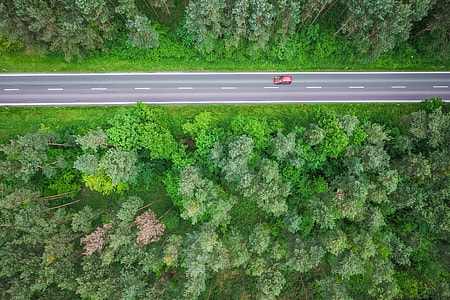 Aerial and Symmetric View of a Road in the Woods thumbnail