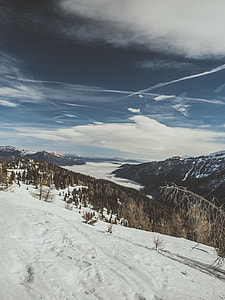 gray mountain covered with snow and brown trees thumbnail